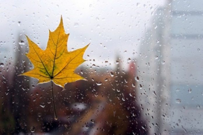 Бурі та заморозки: синоптик розповіла яка погода чекає на нас у жовтні