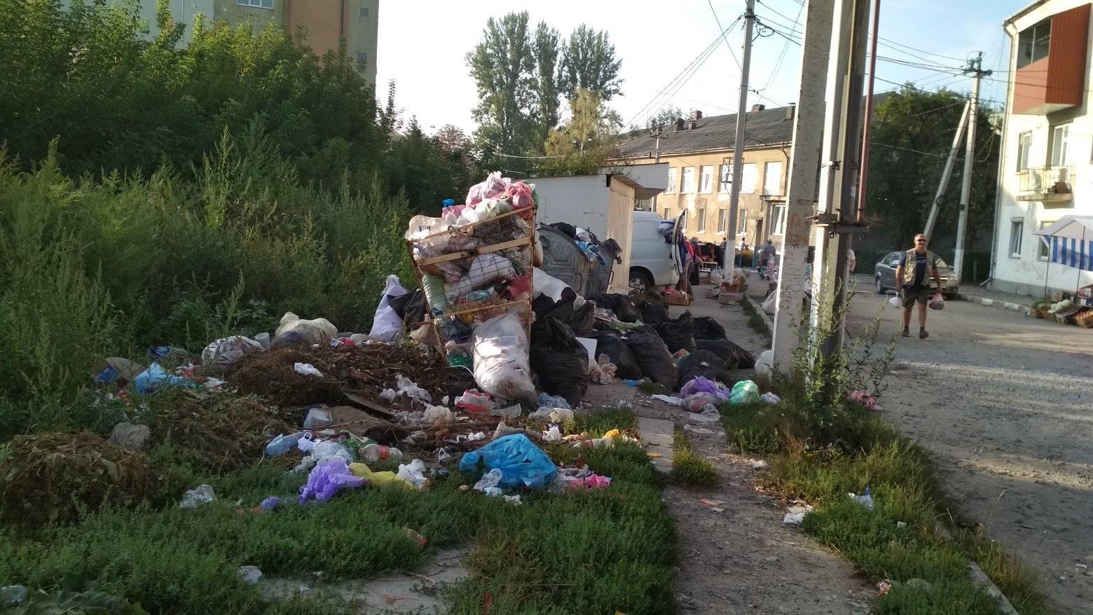 Одна з вулиць Теребовлі перетворюється на сміттєзвалище (Фото)