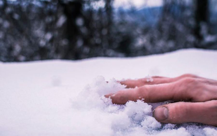 На Тернопільщині мисливці виявили труп замерзлого чоловіка
