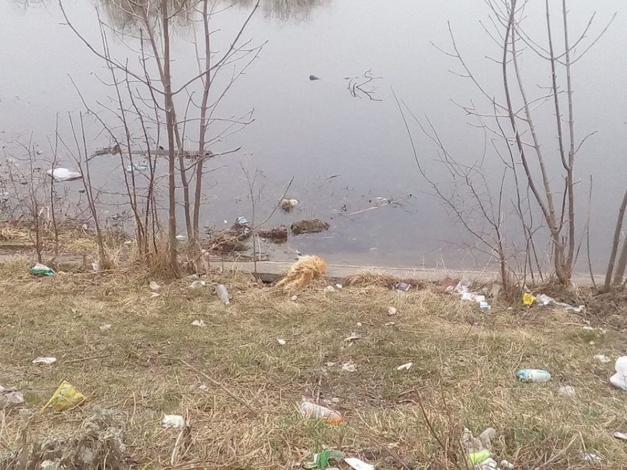 Жителі зберуться для того, щоб прибрати сміття біля місцевої річки
