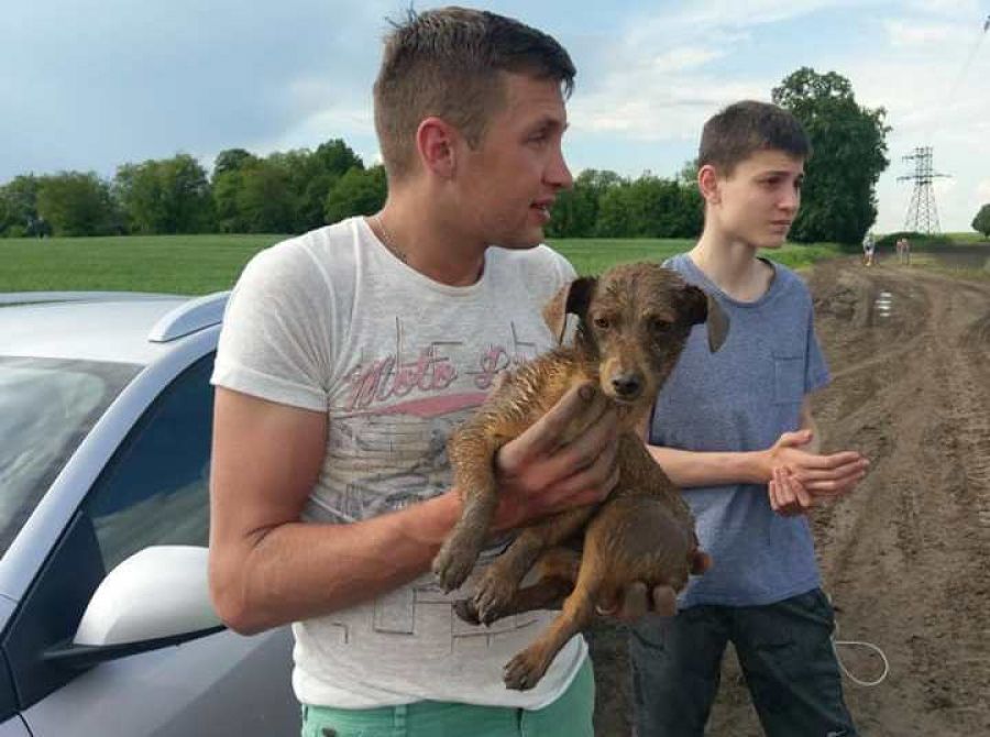 На Тернопільщині в болоті знайшли собаку, яку зав’язали в мішок і викинули (Фото)