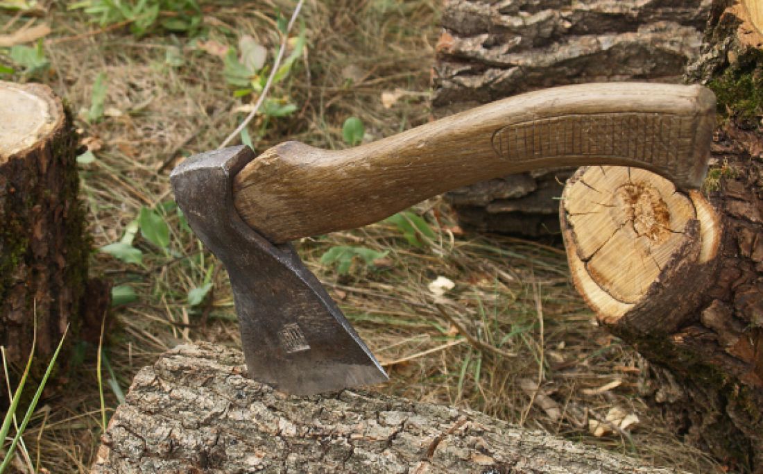 На заповідній території Тернопільщини виявили незаконну рубку дерев на 111 тис. грн