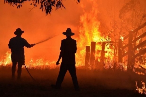 Факти про пожежу в Австралії підірвали мережу: тьма туристів
