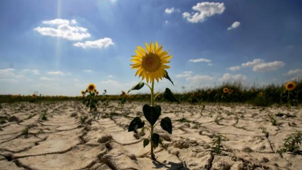 Пришвидшене потепління: Кліматичні параметри в Україні змінюються вдвічі швидше, ніж у світі загалом, з зимою прощаємося взагалі