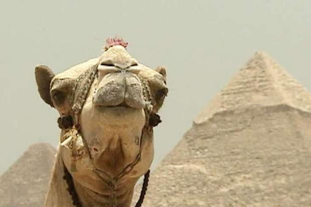 З першого червня Єгипет вводить туристичні візи