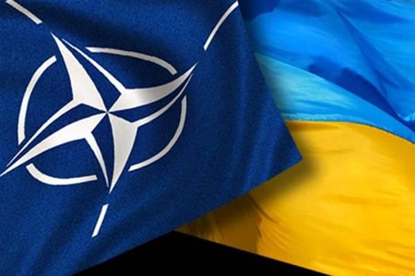НАТО крок за кроком просуває інтеграцію України та Грузії