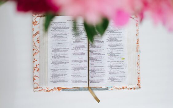 Три могутні істини із 23 псалма, які допоможуть у складні часи