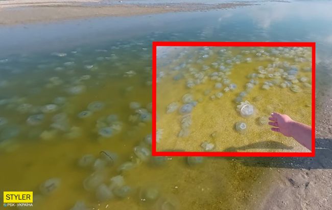 На курорті Азовського моря нашестя медуз: їх дістають граблями (Відео)